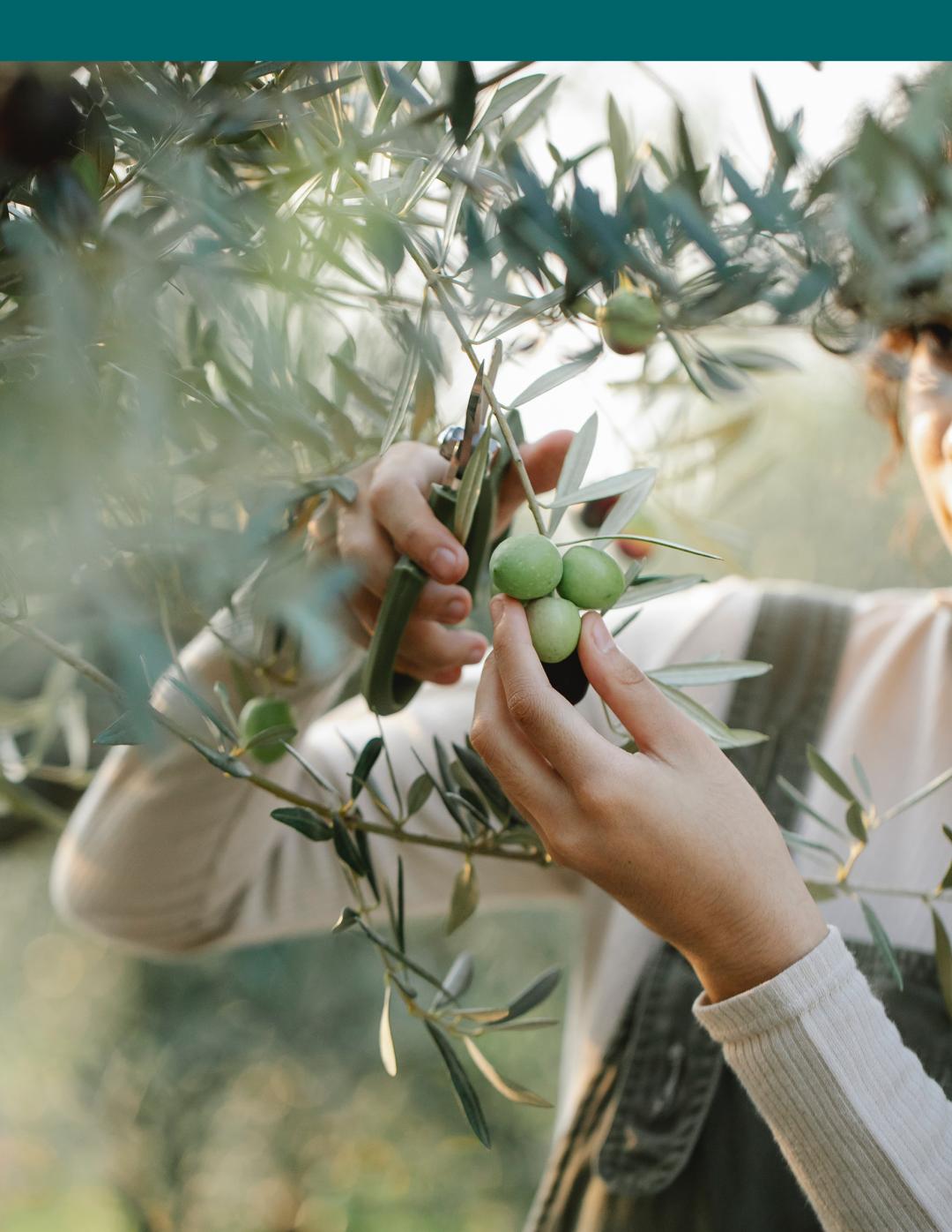 如何选购食用油桶,食用油选购攻略指南