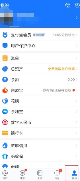 支付宝的字体可以调大吗,支付宝怎么设置字体大小