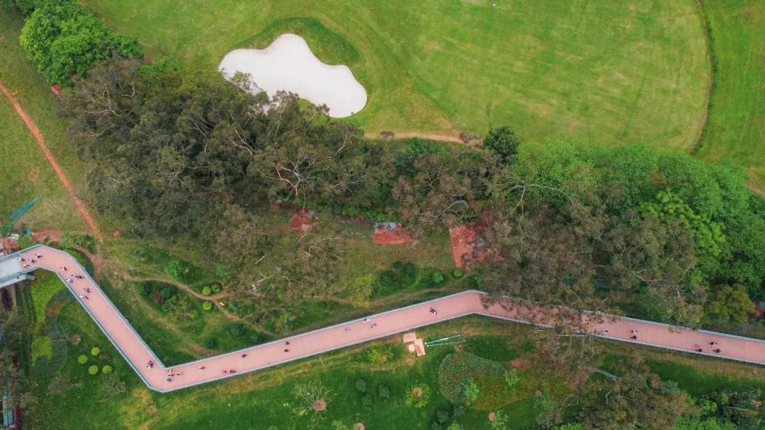 2021广州打卡必去的地方,广州必打卡的十个免费景点