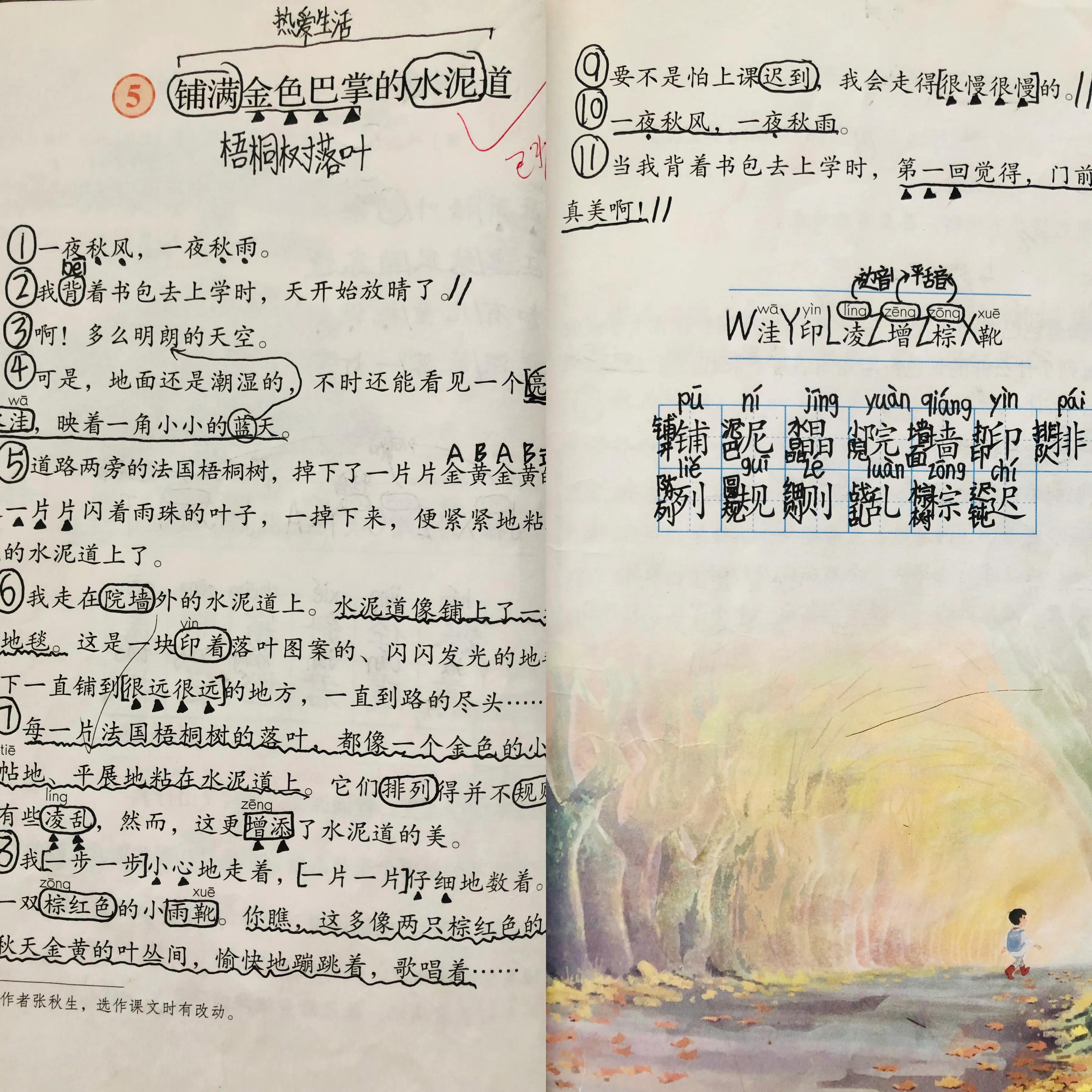 一年级语文预习的正确步骤,三年级下册语文第二课预习