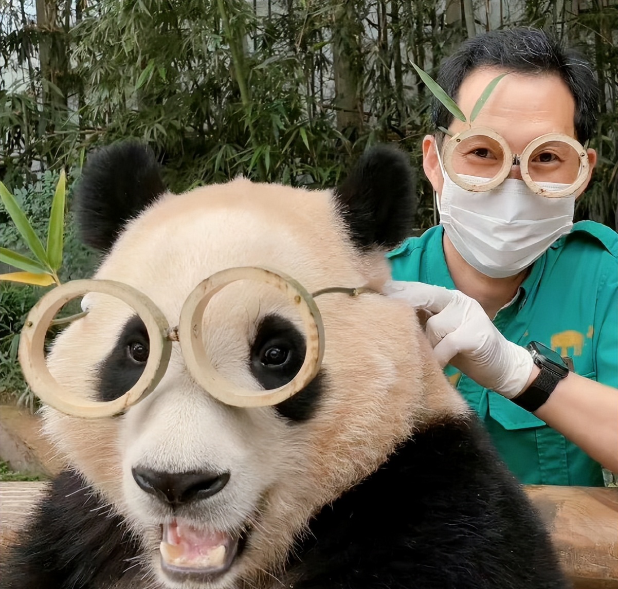 现在有多少人在关注丫丫,持续关注丫丫