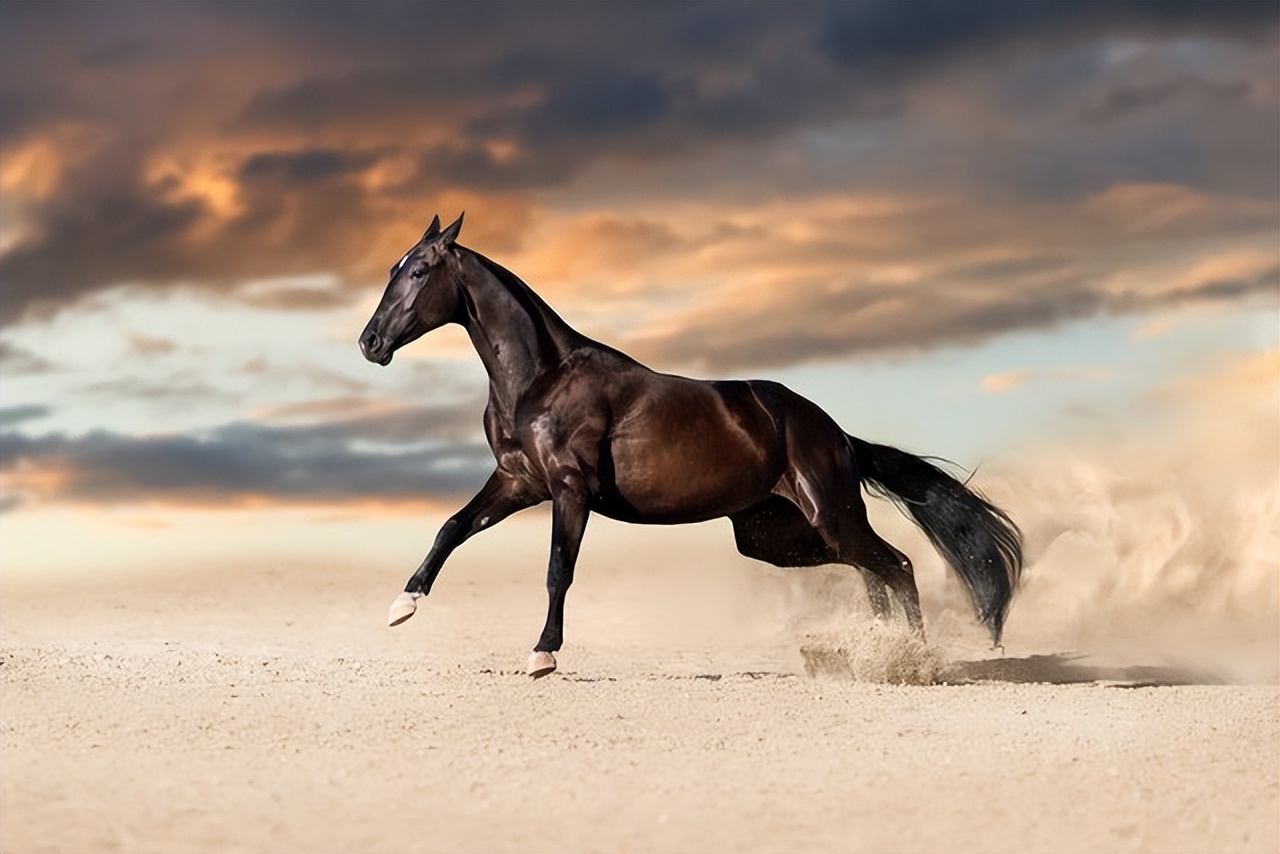 2022世界杯目前状况,世界杯目前全部战绩分析