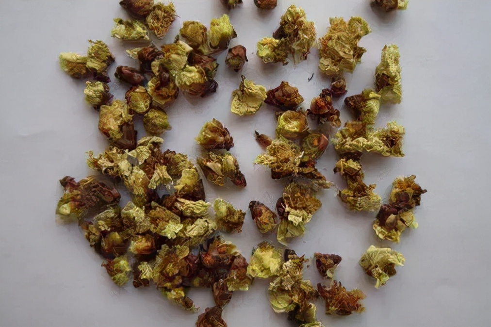 梅花可以泡水吗有毒吗,什么梅花可以入药