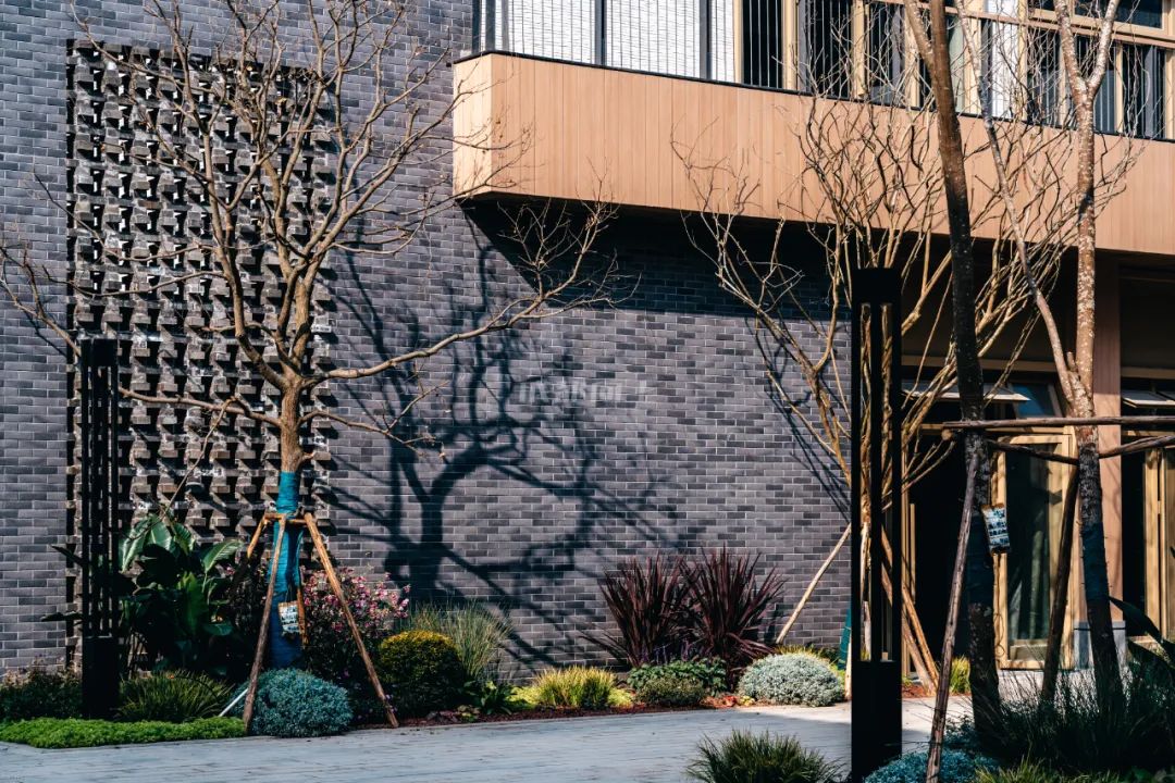 藏不住了，“北境之王”新都竟然还憋着“王炸”？