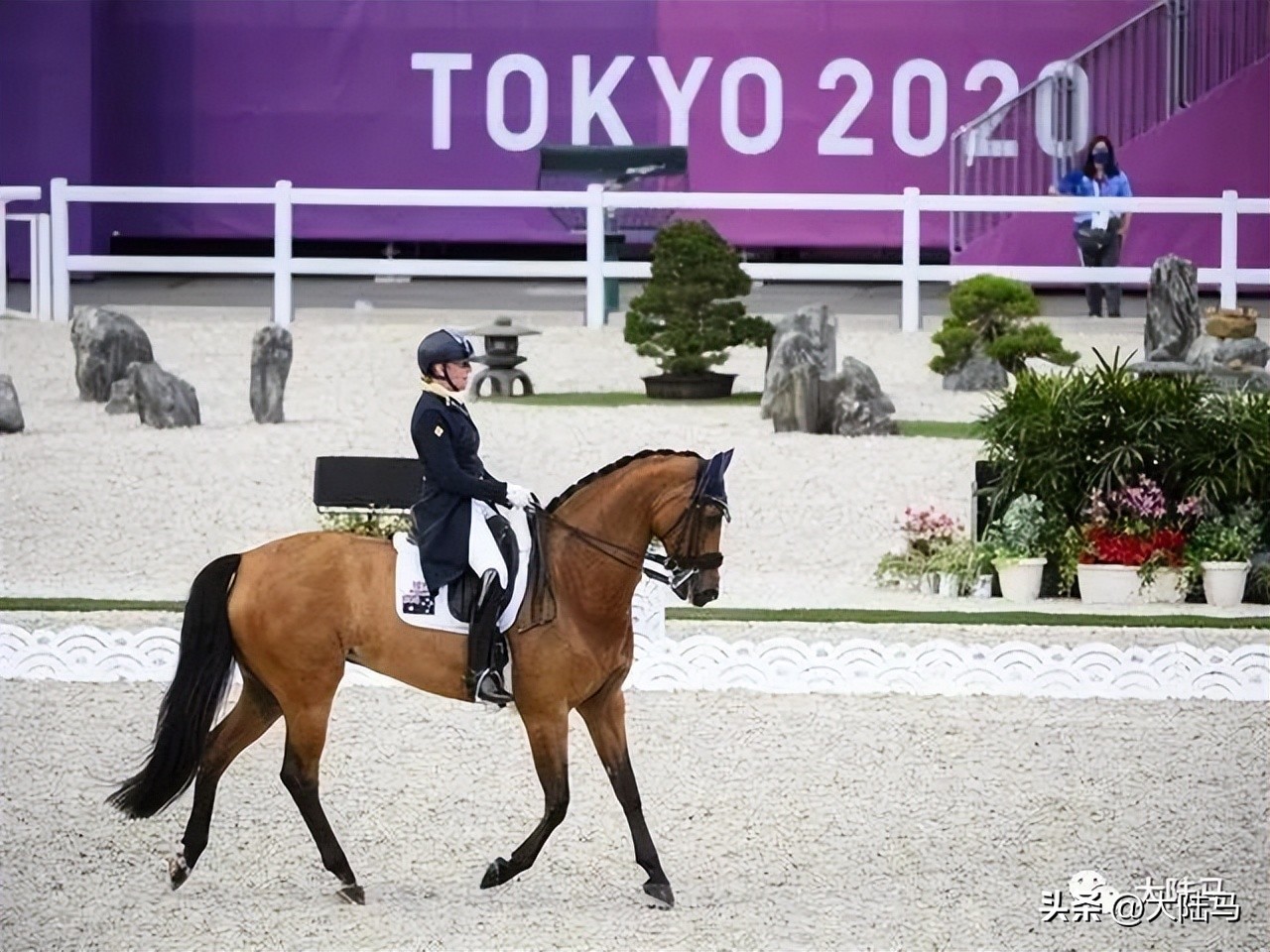 国家体育运动员从几岁开始培养,马术运动员十次参加奥运