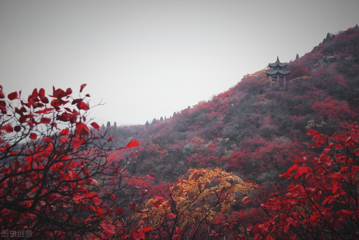 没想到济南的秋天竟然可以这样美,秋天济南哪个景区最美