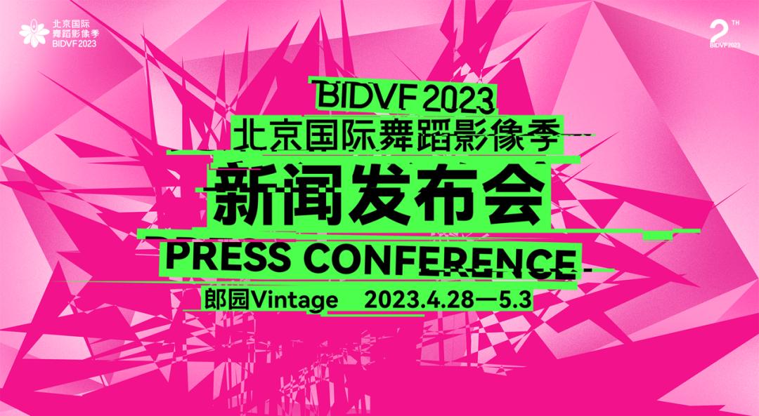 北京国际舞蹈影像艺术季组委会,第二届中国舞蹈影像展