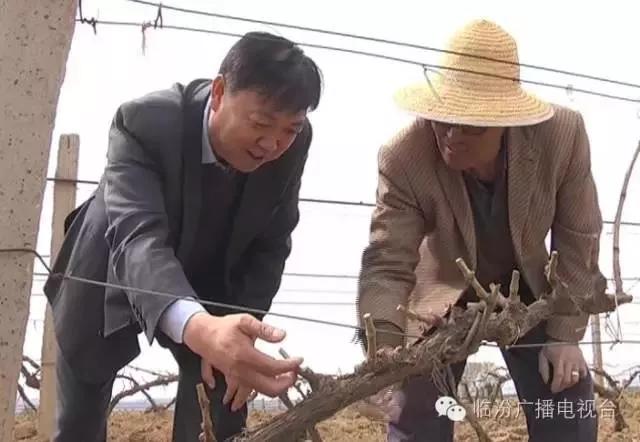 张文泉讲述葡萄酒,张文泉戎子酒庄