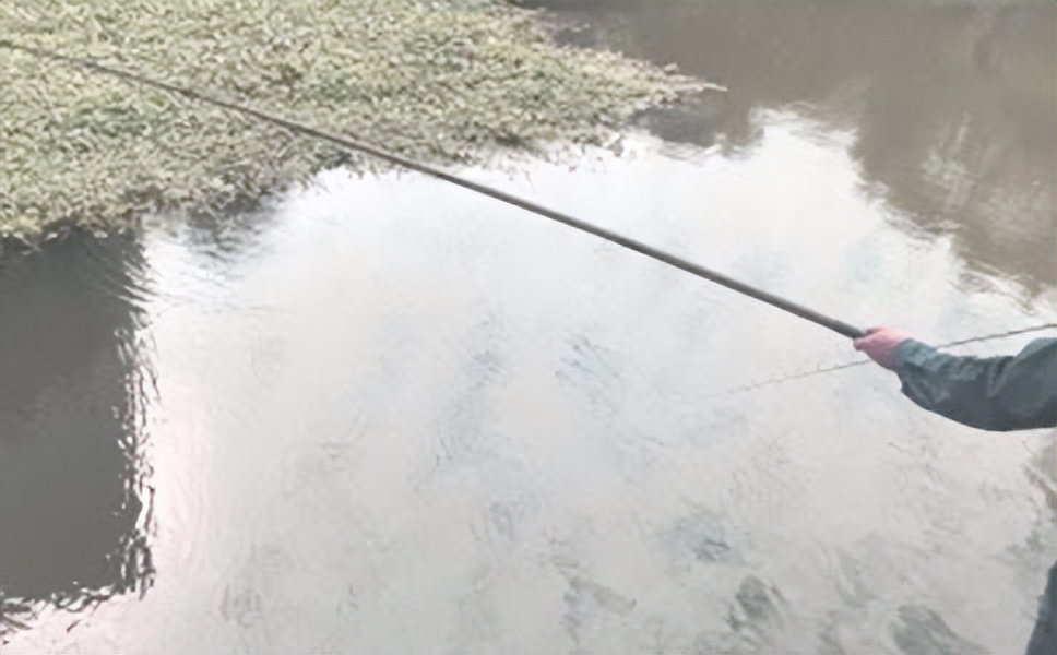 新手钓鱼怎么选钓竿,钓鱼竿新手钓鱼入门基本知识