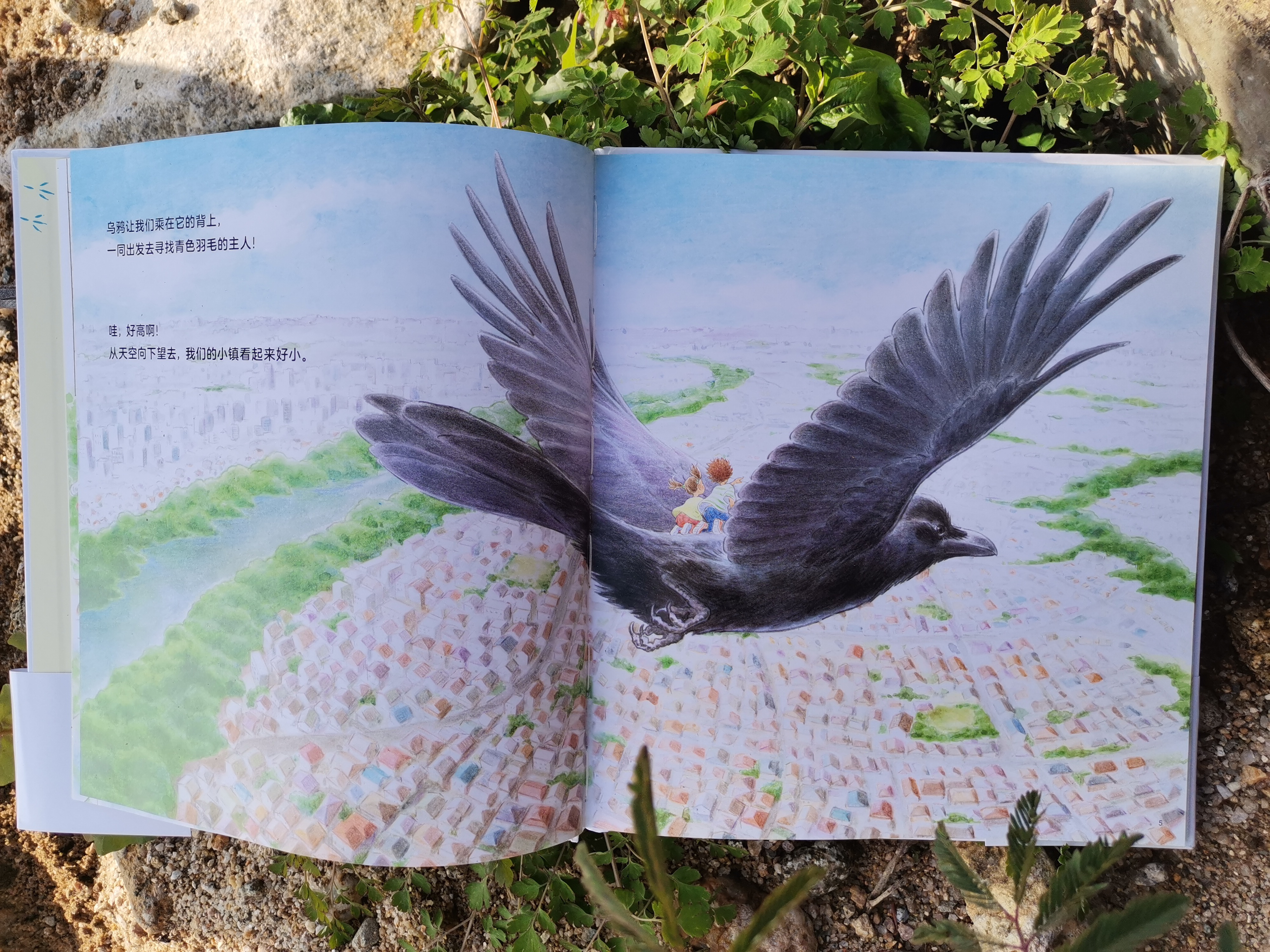 青色的羽毛黄肚皮的鸟,青色的羽毛