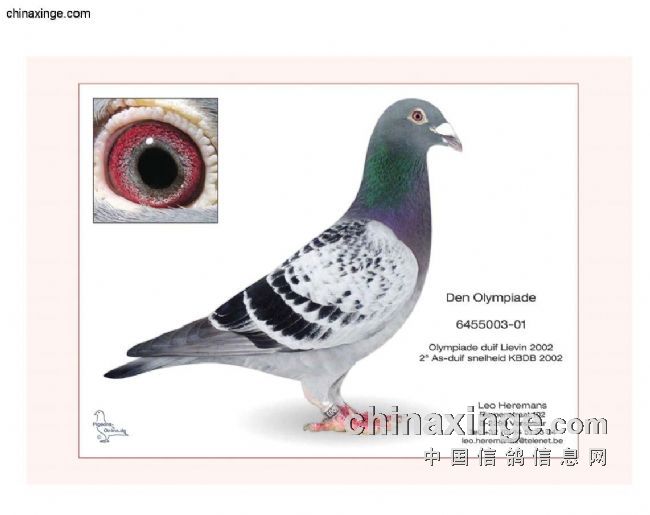 瀹岀編涔嬬溂,瀹岀編涔嬬溂鍏ㄦ枃鍏嶈垂鍦ㄧ嚎闃呰