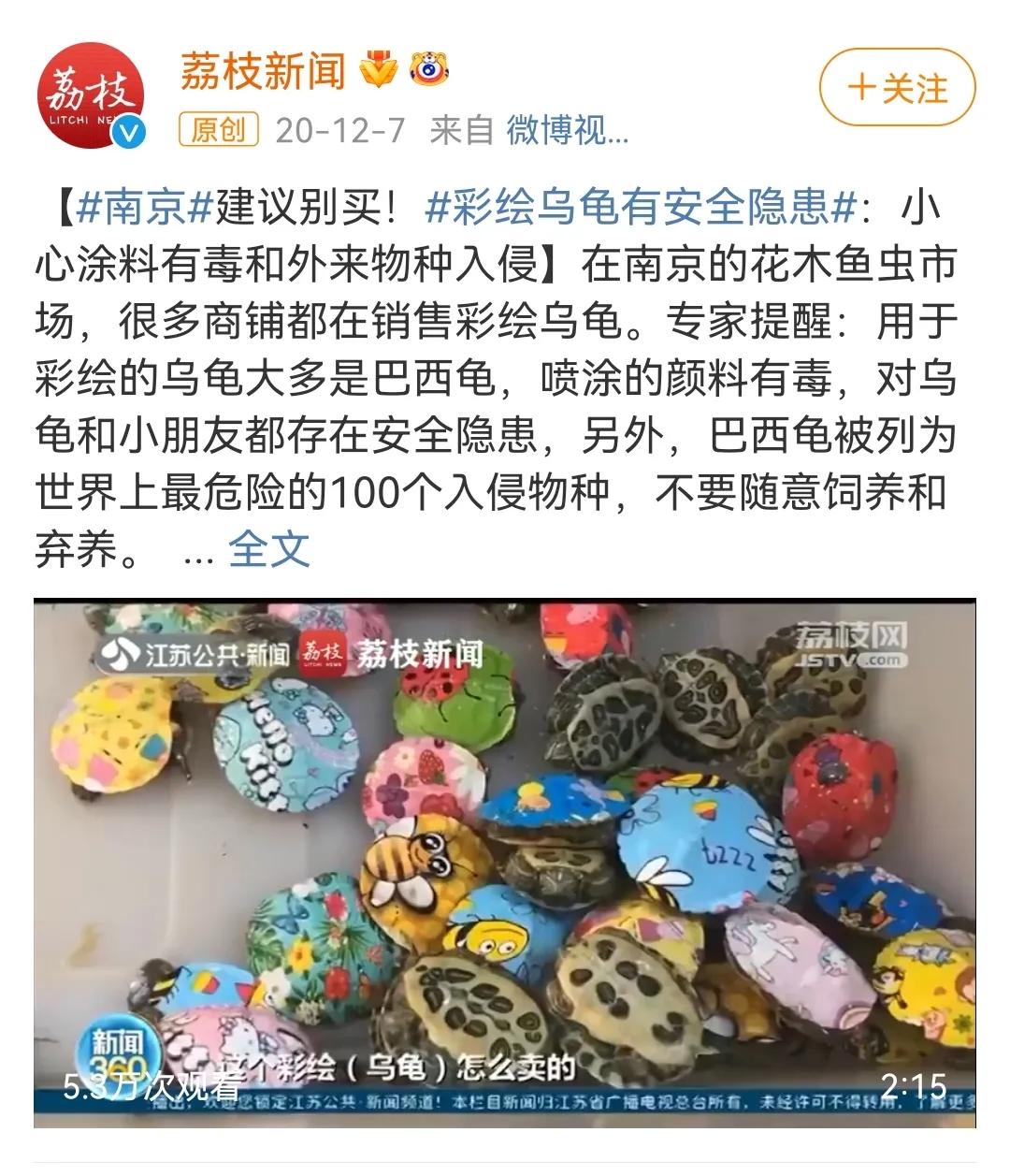 这样的阴间猫狗审美,早该翻车了