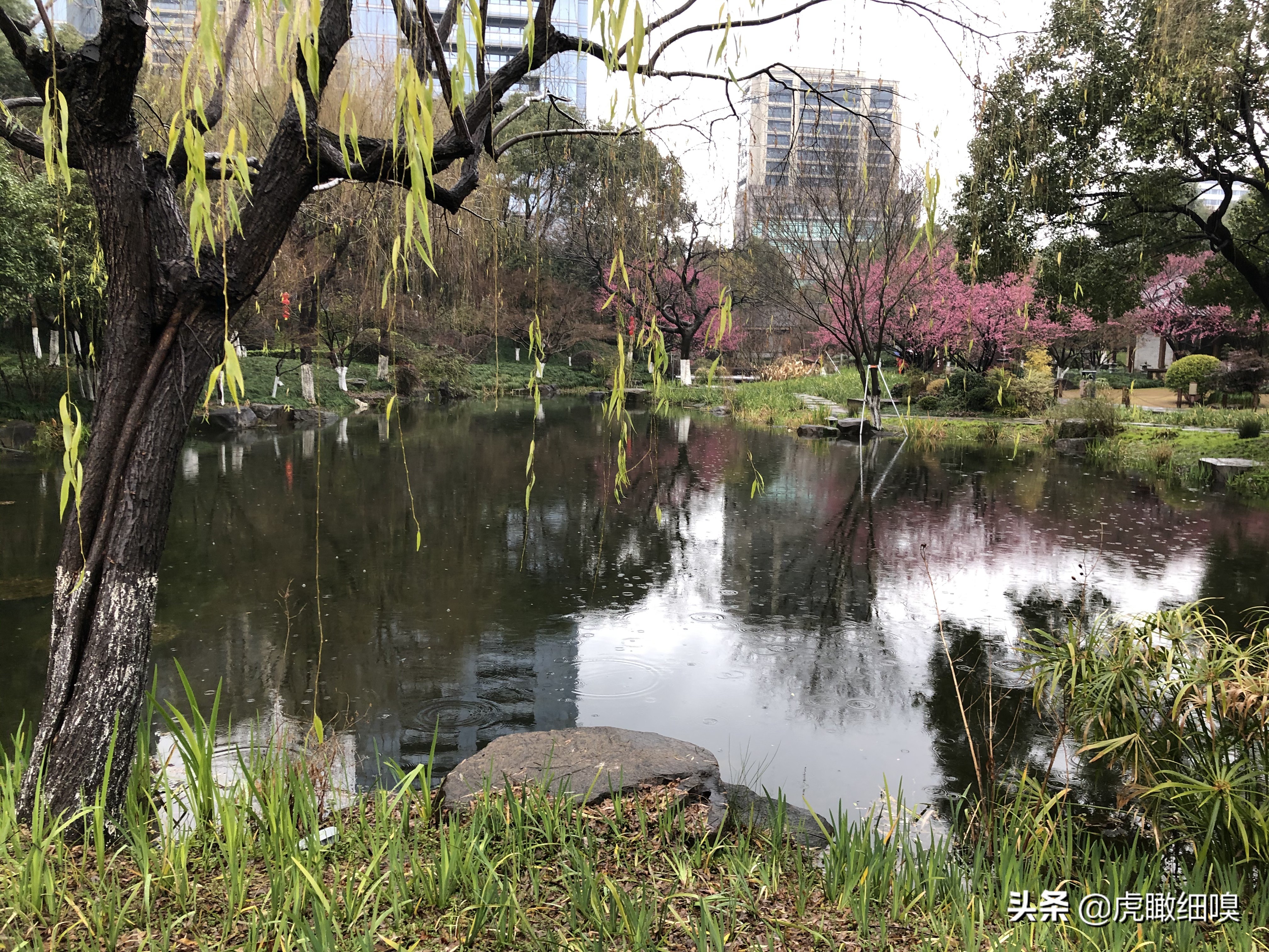 临平水景公园秋天,临平公园当地知名度最高的公园