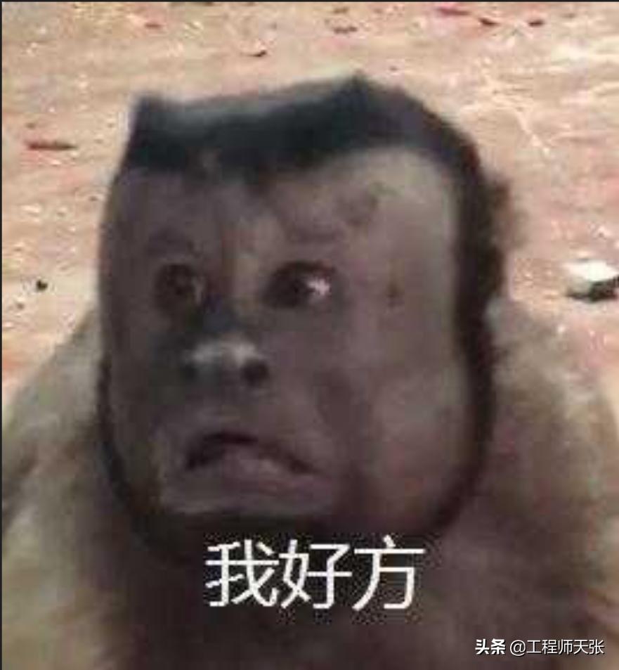 奇特长相的猴子,最像人脸的猴子