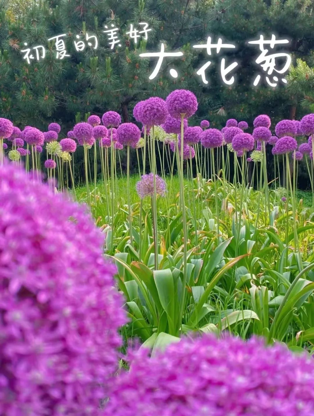 海淀旅游必去十大景点推荐,海淀区旅游免费景点推荐