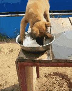 姑娘这么可爱竟然当保安，大叔都忍不住多看两眼，太屈才了: