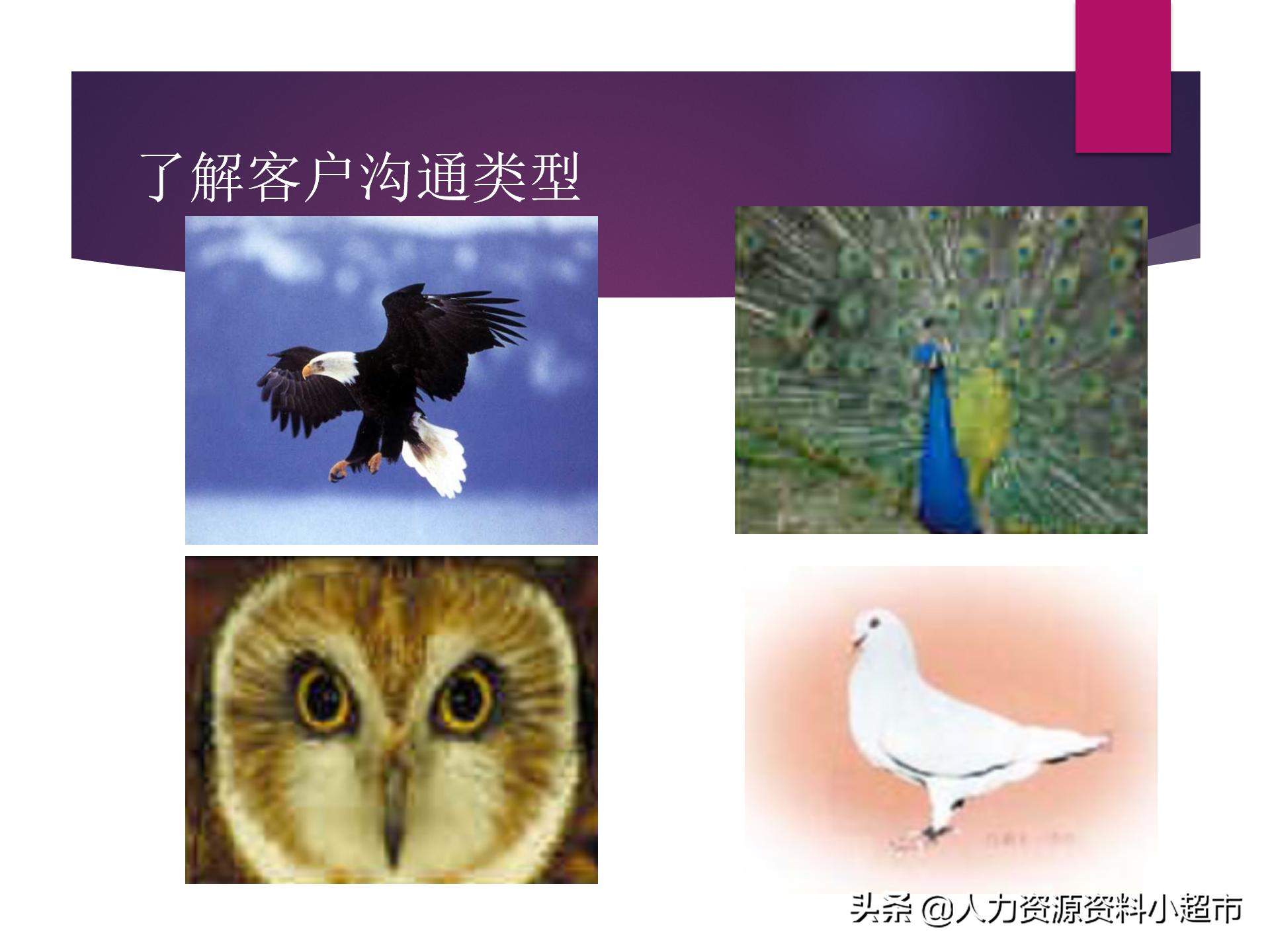 阿里巴巴诚信通平台服务,阿里巴巴诚信通销售员