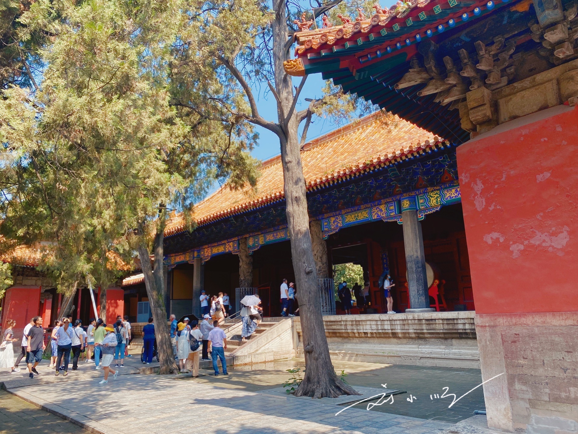 山东曲阜孔庙简介,曲阜孔庙历史背景和现状