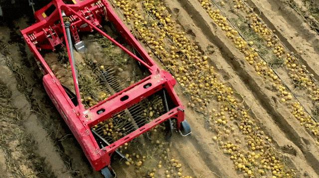 甘肃定西薯都,中国薯都