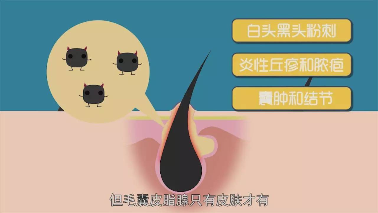 阴毛变白，就是性功能减退了？*处私**毛发的秘密，了解一下有好处