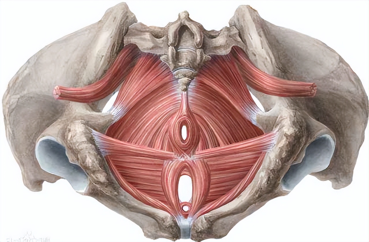 假胯宽骨头突出,假胯宽和大转子外翻一样吗