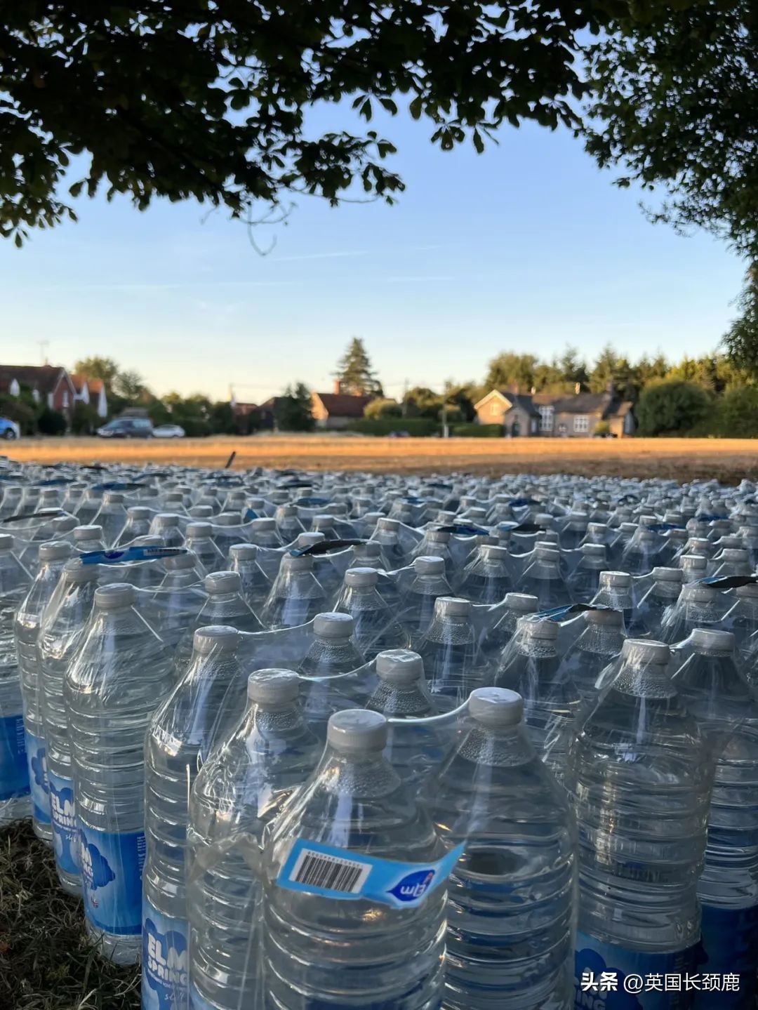 见证历史：英国将取消BRP！首相候选人求教如何登上Vogue？