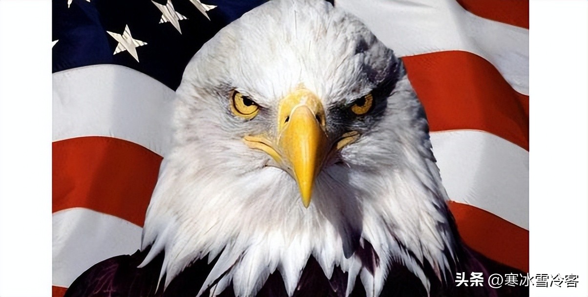 美版知乎提问为什么喜欢中国,美版知乎老外对中国不可思议的事