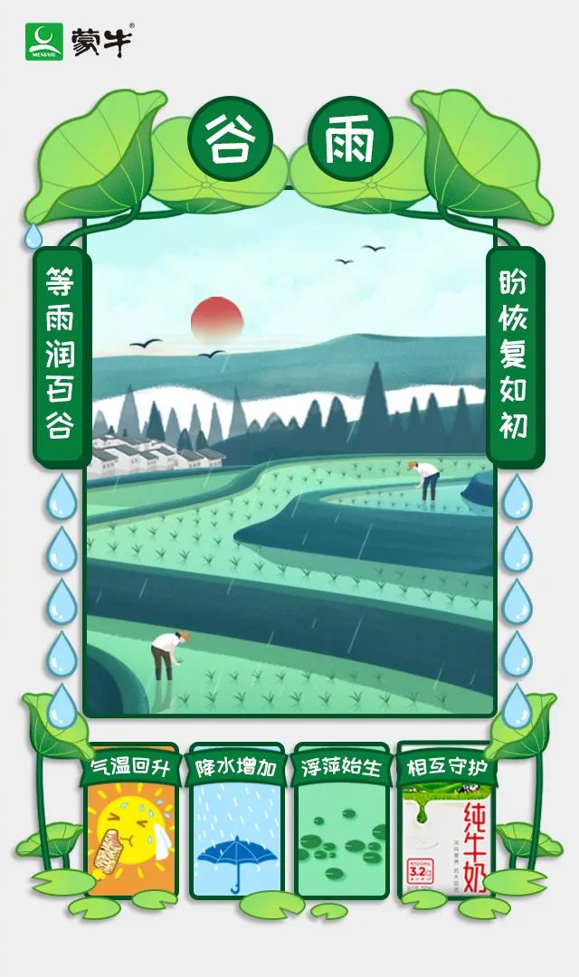 谷雨海报手绘,谷雨海报设计拍照