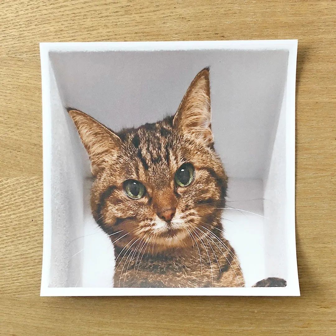 日本人发明的手机支架,日本戒手机瘾神器