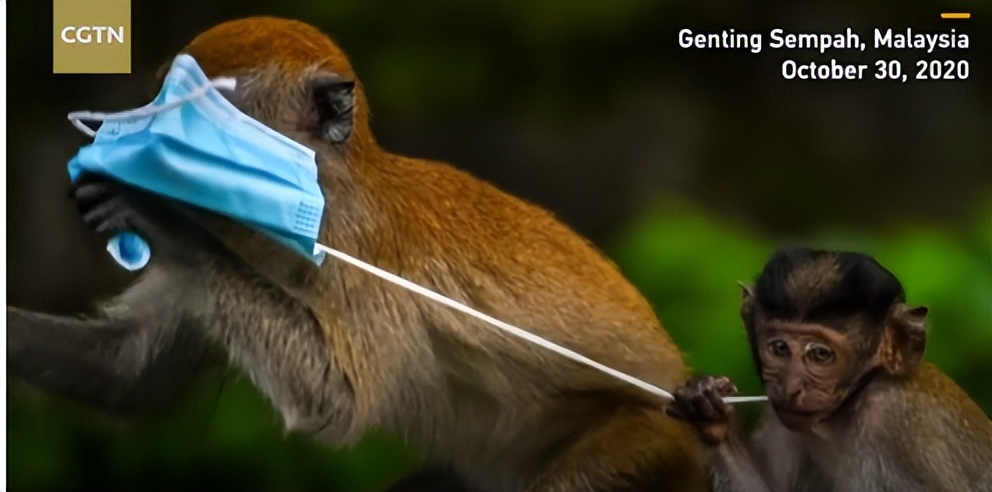 爱护环境不能随意丢弃口罩,使用过的废弃口罩是有害垃圾吗