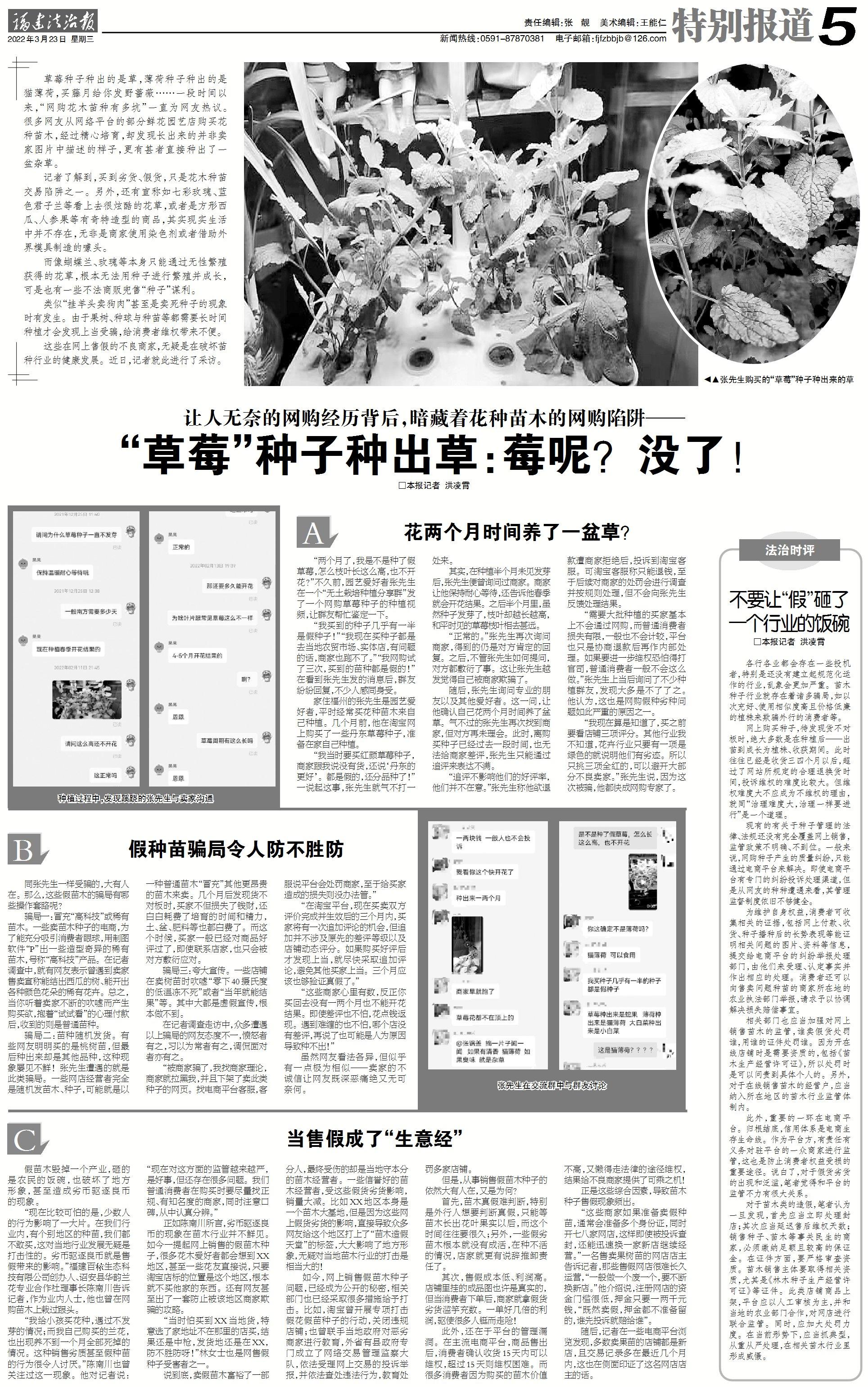 让人无奈的网购经历背后，暗藏着花种苗木的网购陷阱——“草莓”种子种出草：莓呢？没了