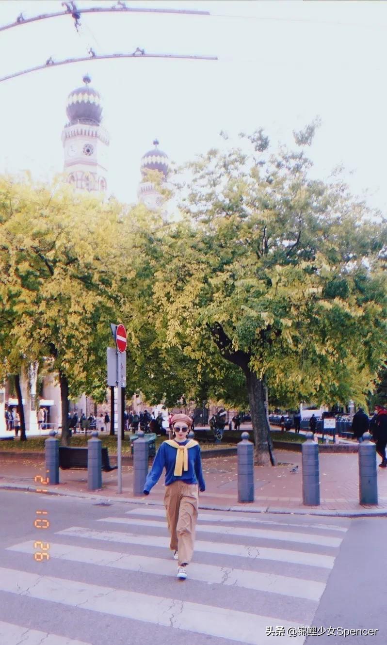 我在布达佩斯，收集了很多秋天送给你