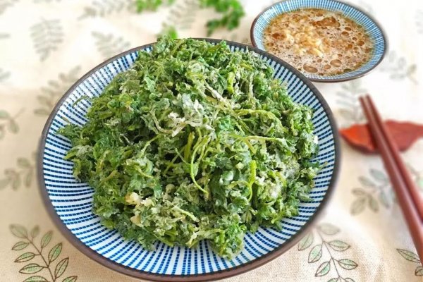 100种野菜大全图解,认识100种野菜视频大全完整版