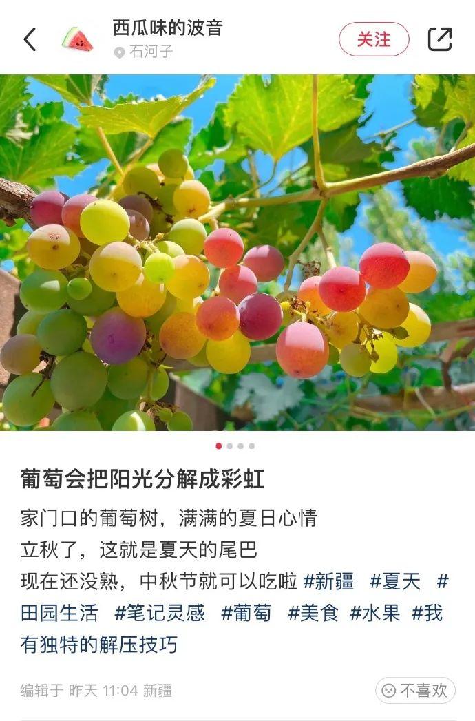 每日一笑精品段子,每日一笑段子