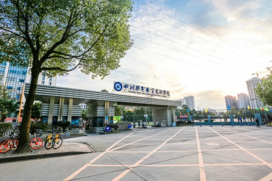 立足学科特色发挥自身优势,立足专业谋划发展的感受