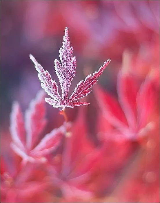 100幅经典摄影作品欣赏,100幅精品摄影图