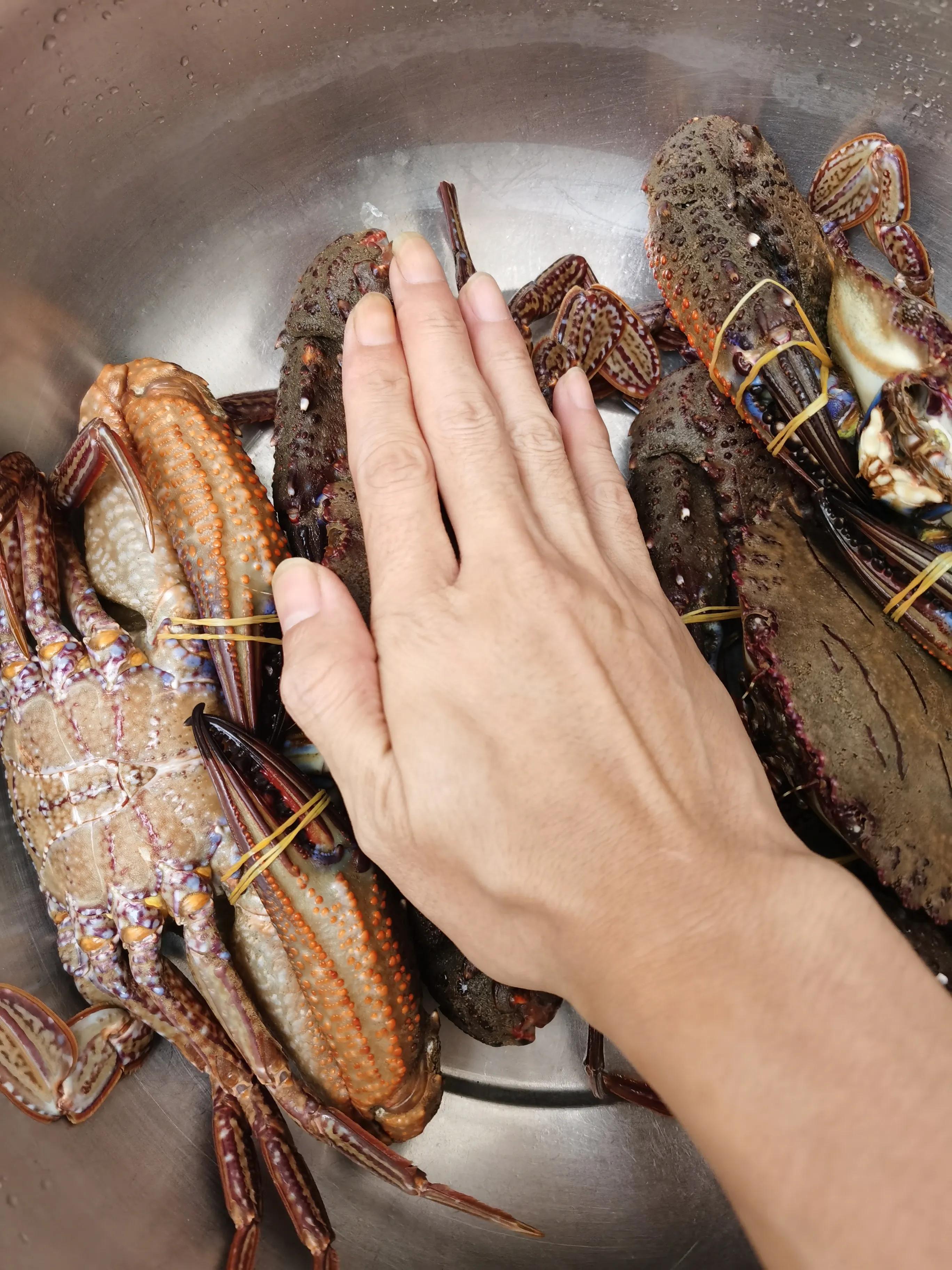 怎么绑大螃蟹最简单的方法,绑螃蟹教程青蟹