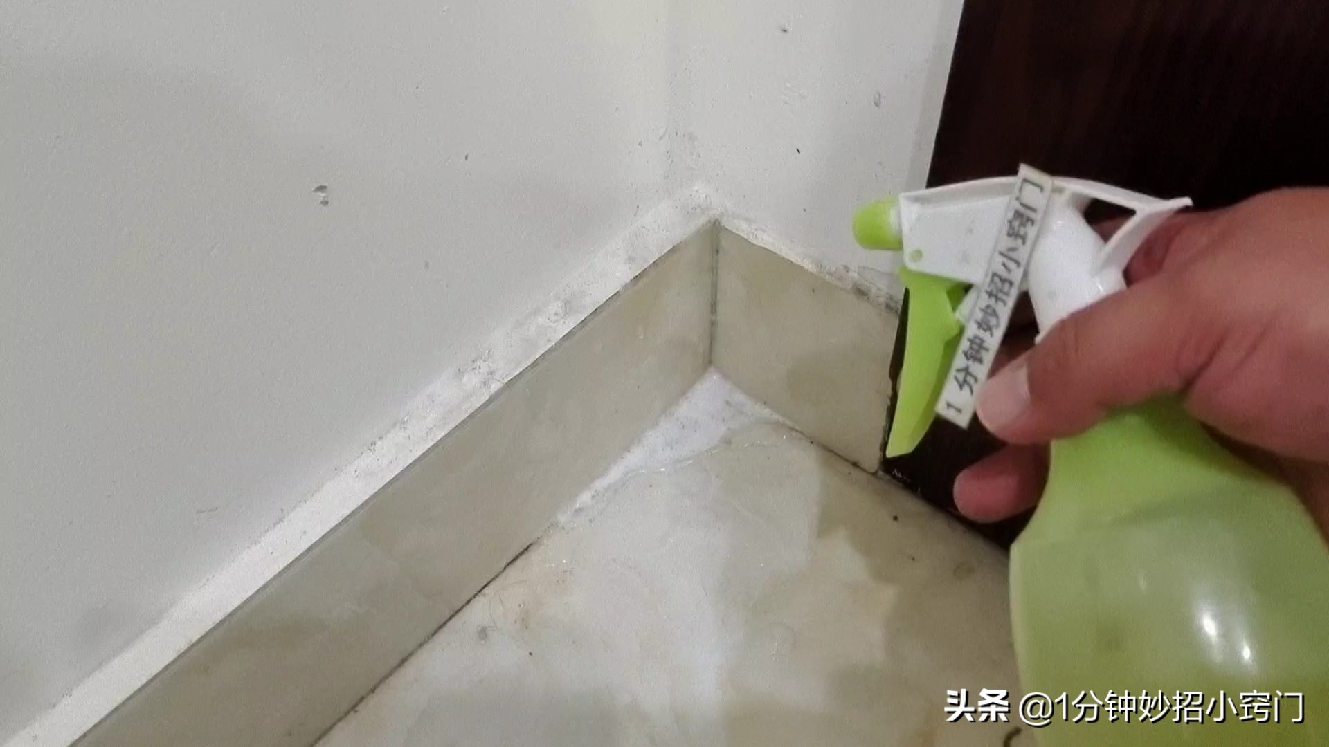 彻底消灭蟑螂的小妙招蟑螂最怕它,家里有蟑螂别急教你几招轻松搞定