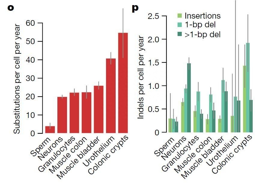 如何使用EOSM290机器，在不同加工条件中，制造出极端形状的薄壁