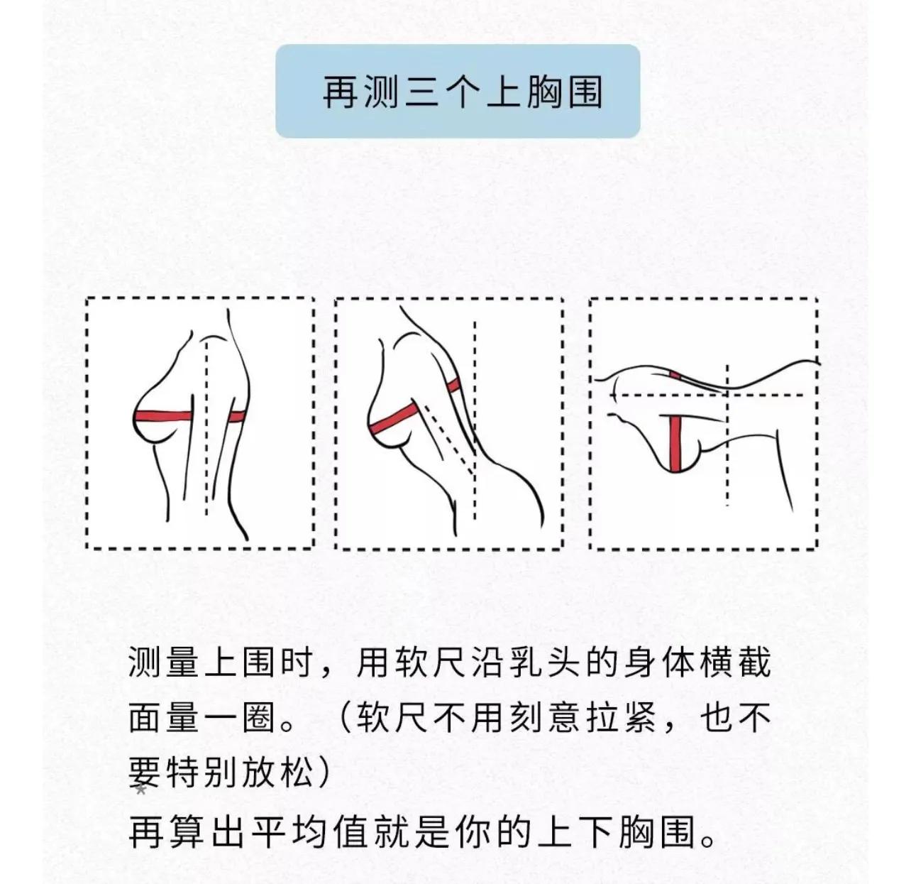 胸部冷知识100条,女性胸部的10个冷知识