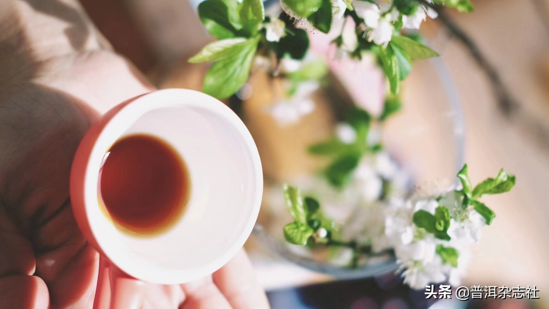 咖啡与健康的相关科学共识,咖啡对健康好不好全跟它有关