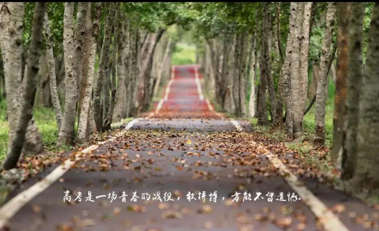 高考分科历史,2017年高考逆袭