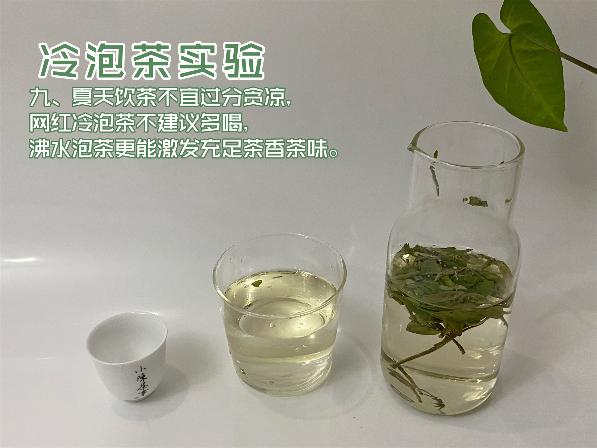隔夜茶5大禁忌,喝茶常识隔夜茶可以喝吗
