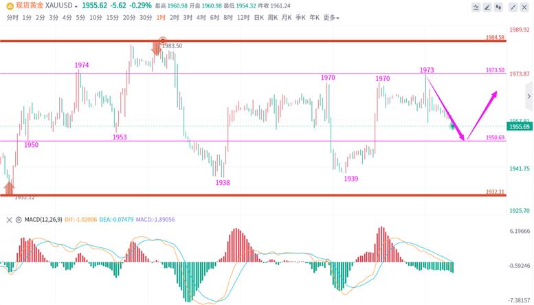 雷丰年,现货黄金行情分析讲解