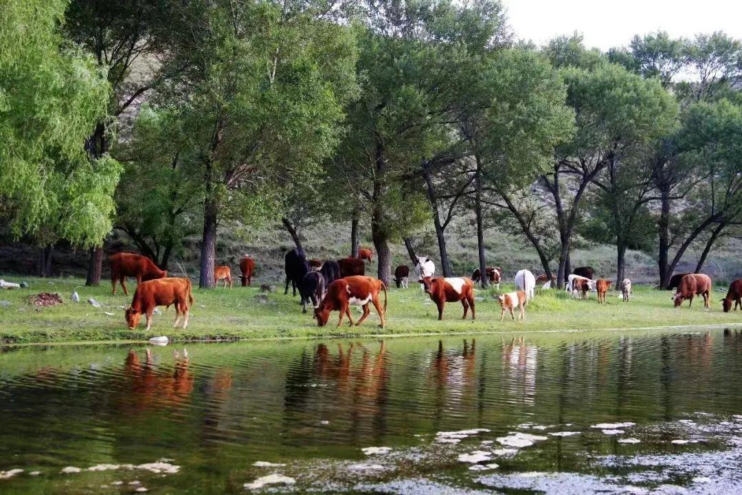 周边农家乐一日游包头,包头周边一日游自驾游景点