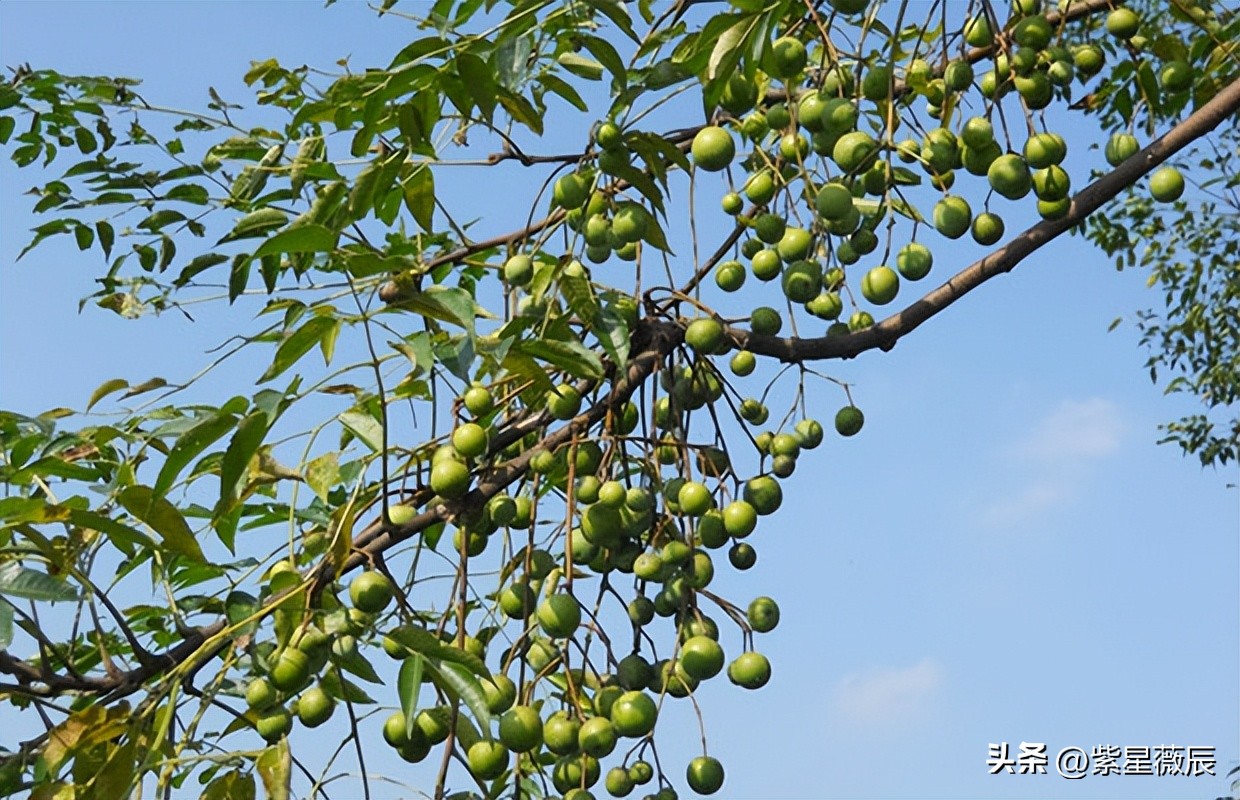 除了我国外，世界上还有两地也叫“中国”，分别在哪里？
