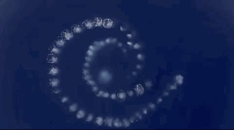 豆瓣排名第五摄人心魄的好片,豆瓣8.6分今年看过最良心的电影