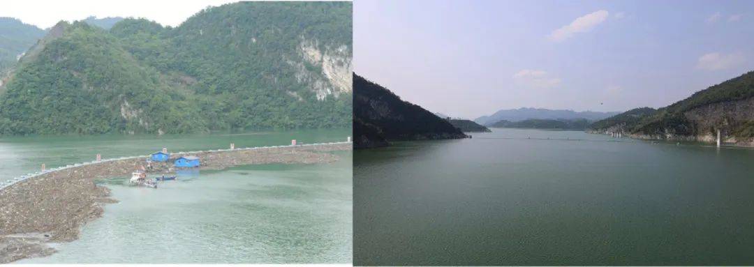 最高人民检察院公益诉讼典型案例,最高检生态环境公益诉讼典型案例