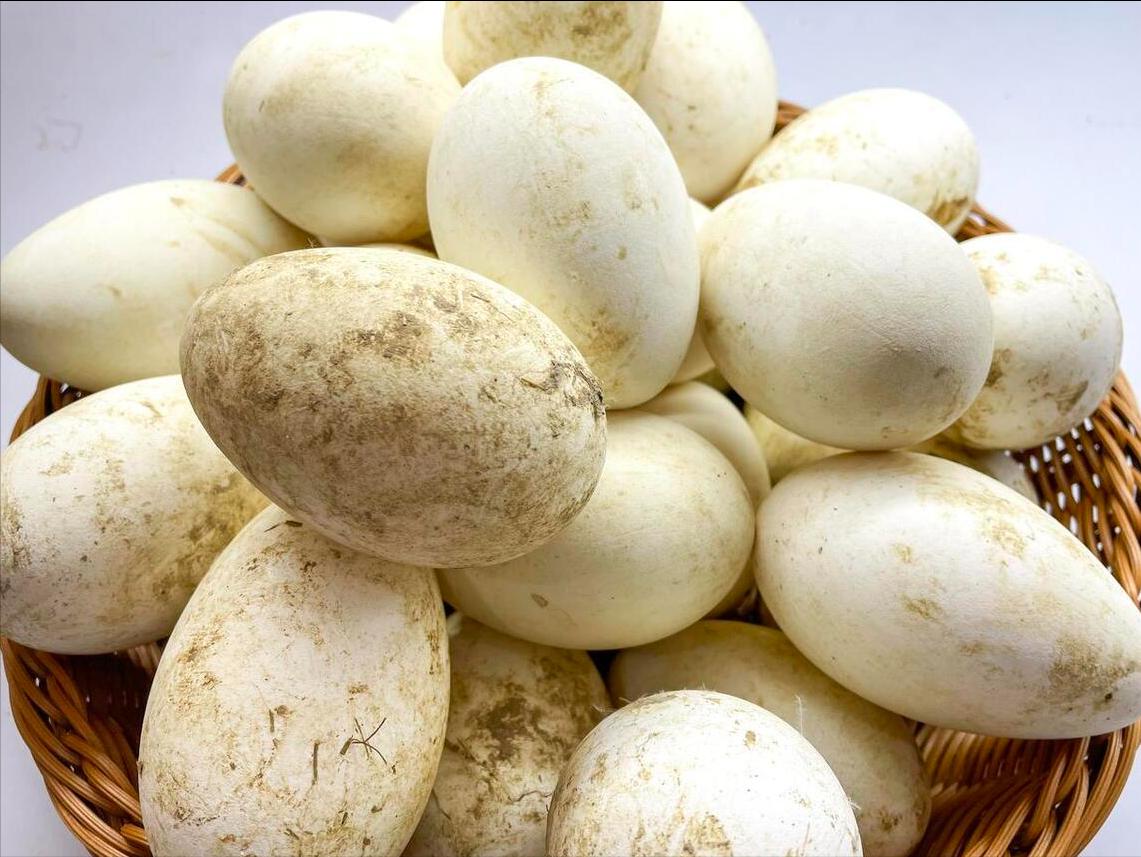 老年人多吃五种高蛋白食物,中老年人常吃高蛋白