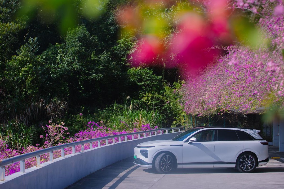 深圳初冬限定，“新伙伴”G9的花海首秀